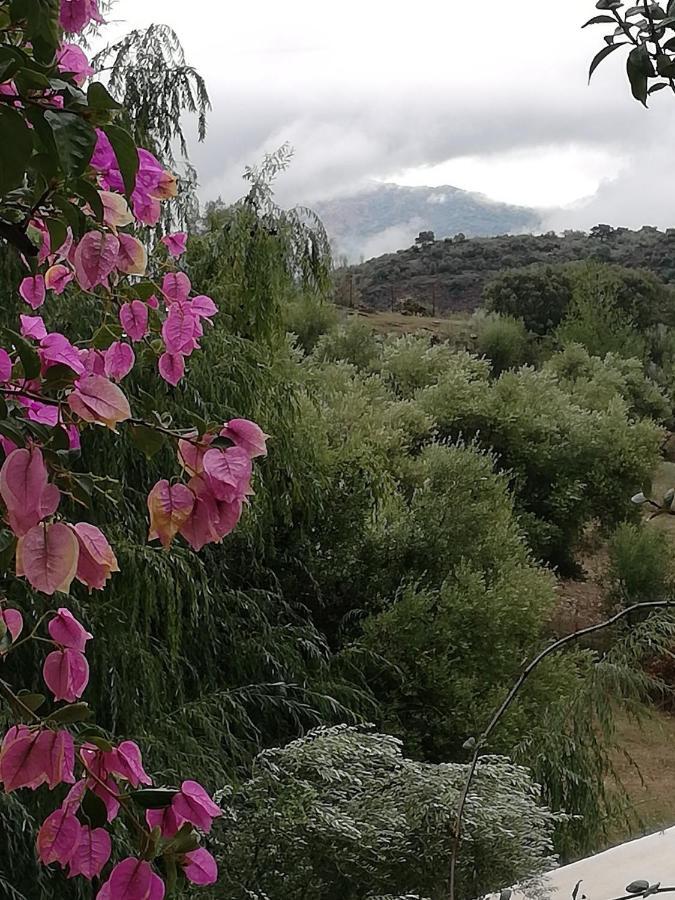 فيلا La Fontana كورتيس دي لا فرونتيرا المظهر الخارجي الصورة