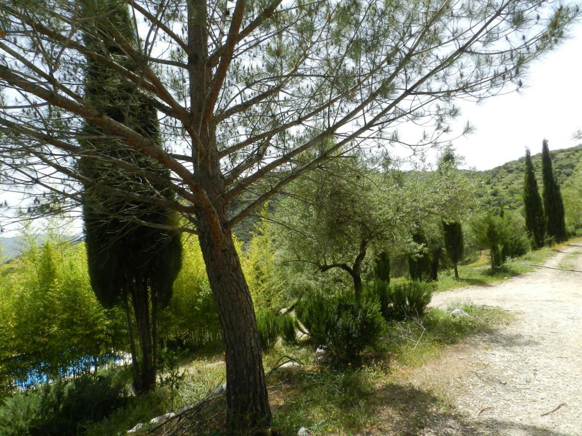 فيلا La Fontana كورتيس دي لا فرونتيرا المظهر الخارجي الصورة